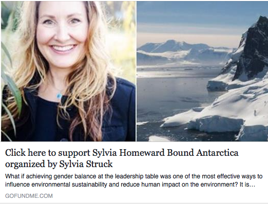 Screen Shot 2017-06-22 at 10.51.33 AM